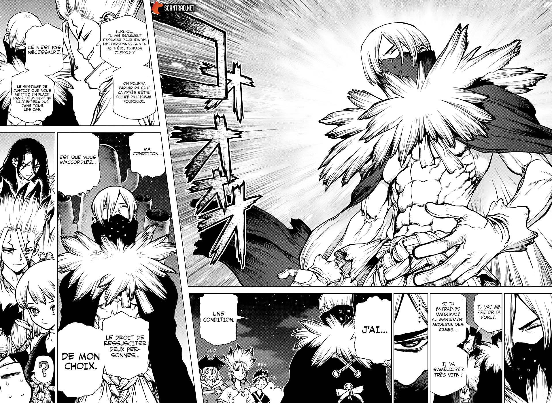 Lecture en ligne Dr Stone 146 page 17