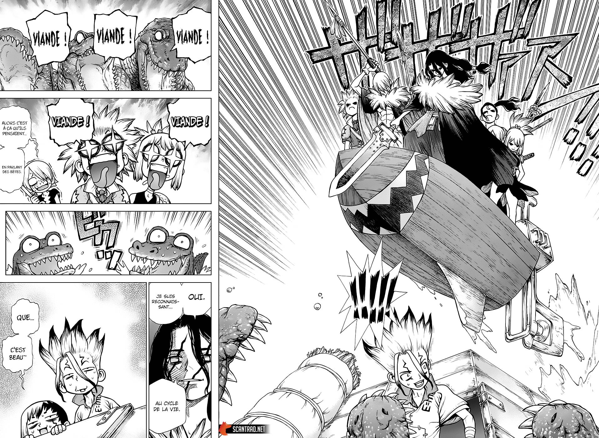 Lecture en ligne Dr Stone 148 page 12