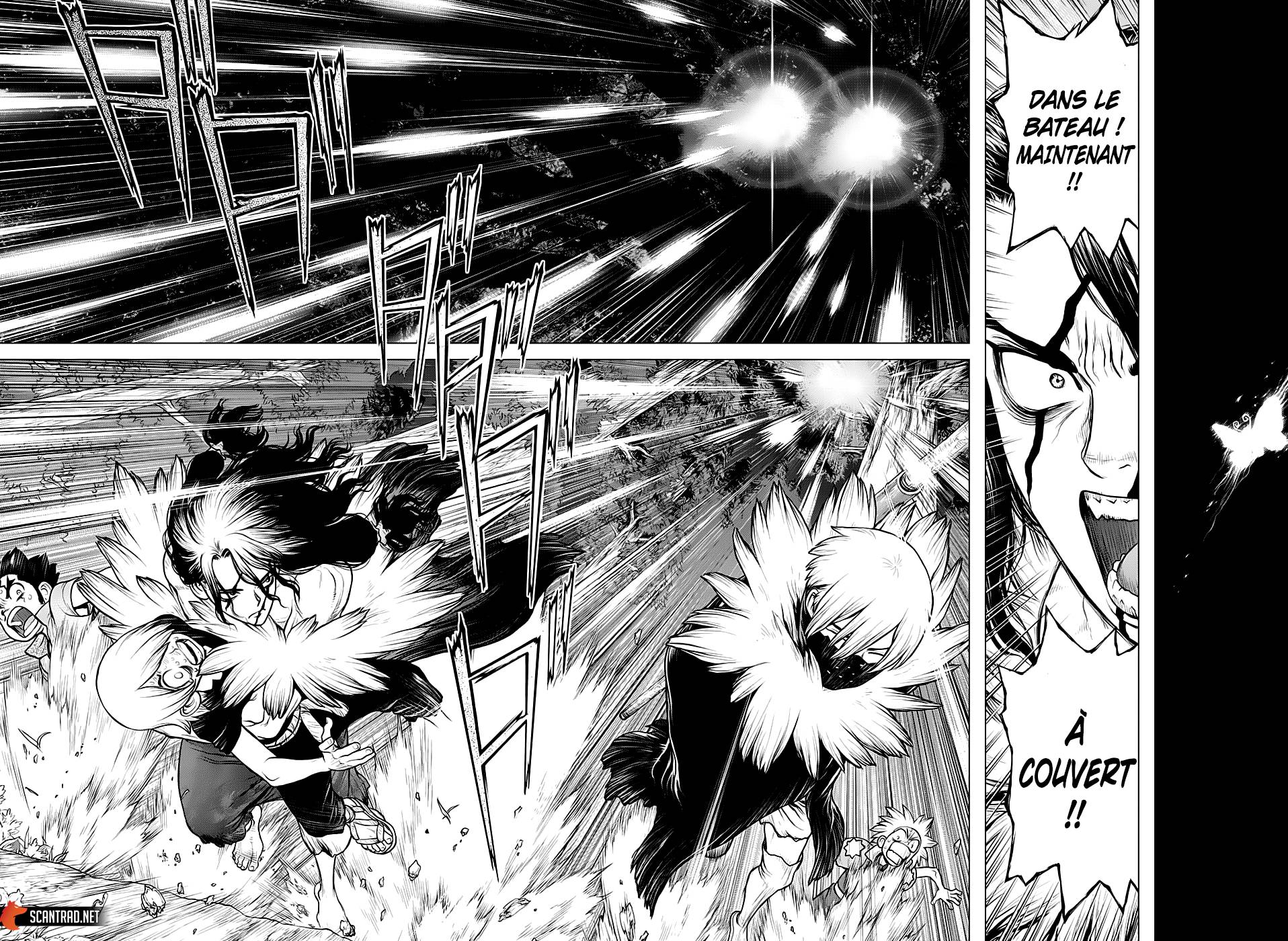 Lecture en ligne Dr Stone 149 page 13