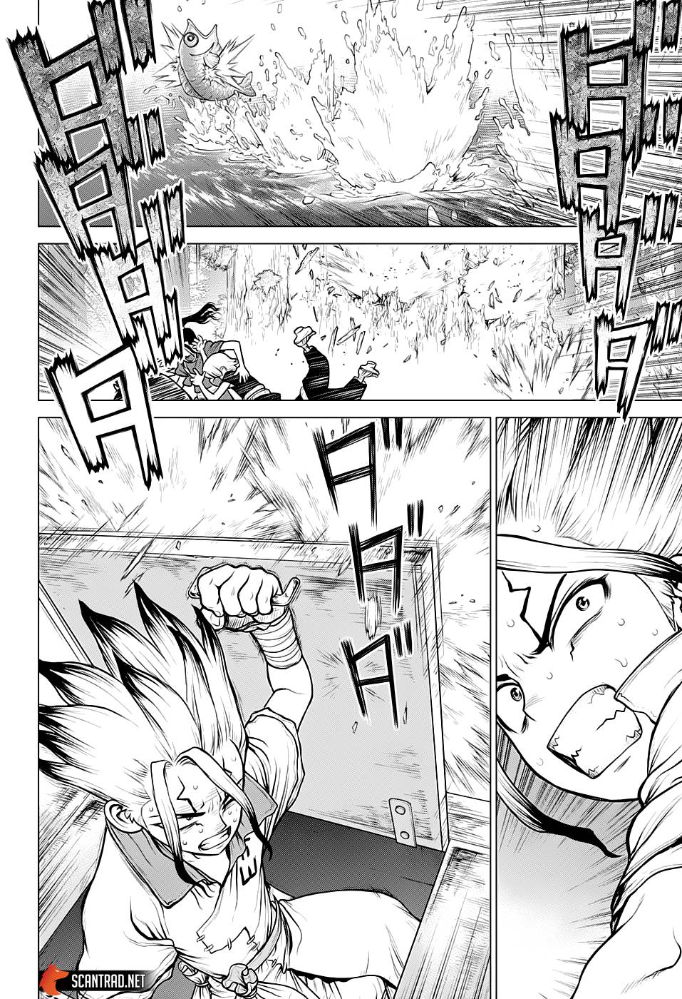 Lecture en ligne Dr Stone 149 page 14