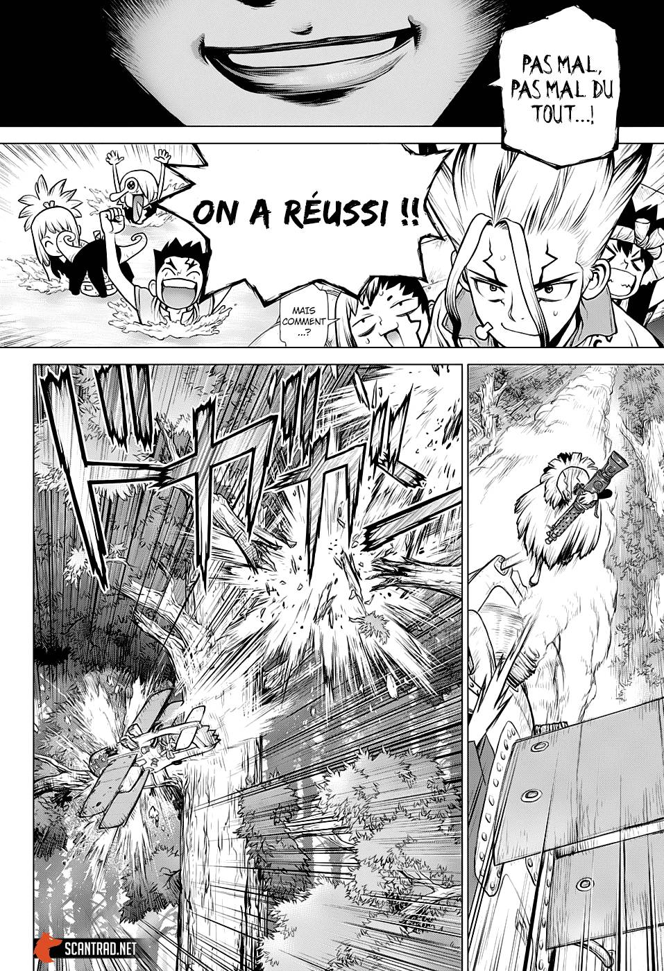 Lecture en ligne Dr Stone 150 page 14