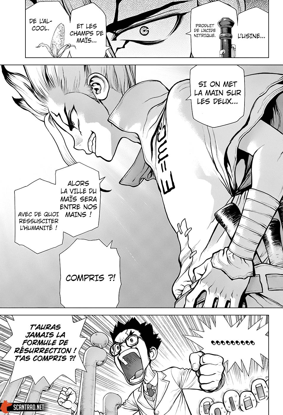 Lecture en ligne Dr Stone 152 page 16