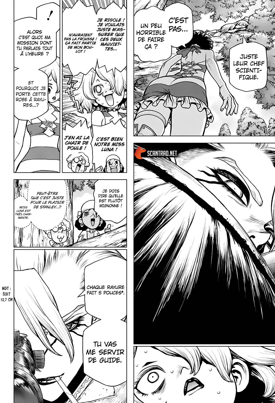 Lecture en ligne Dr Stone 154 page 10