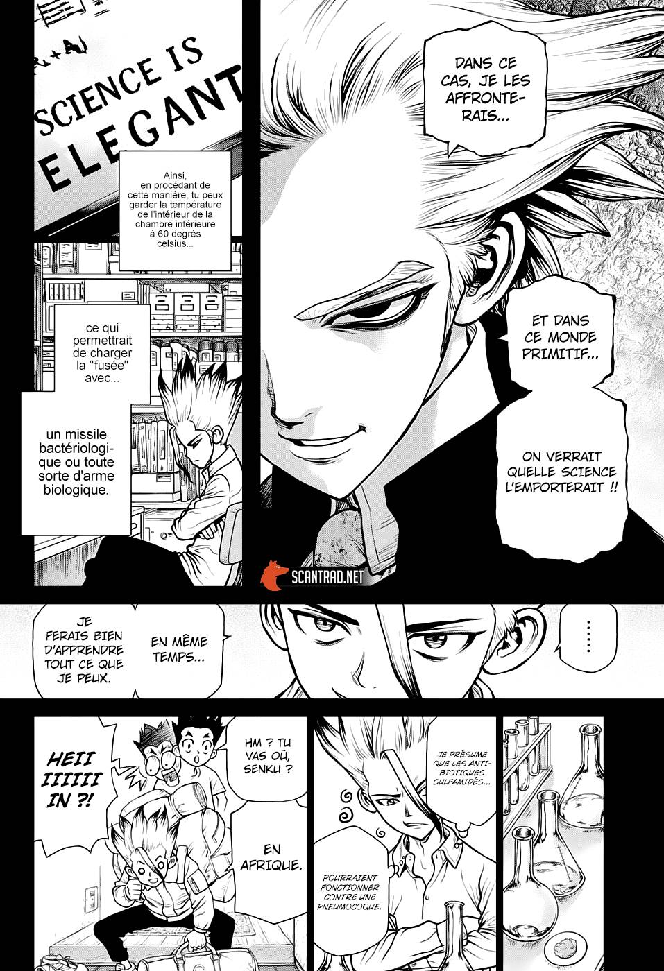 Lecture en ligne Dr Stone 156 page 16