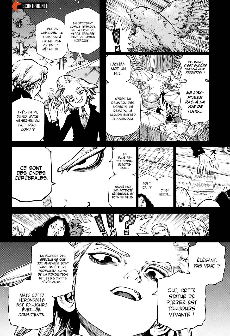 Lecture en ligne Dr Stone 157 page 8