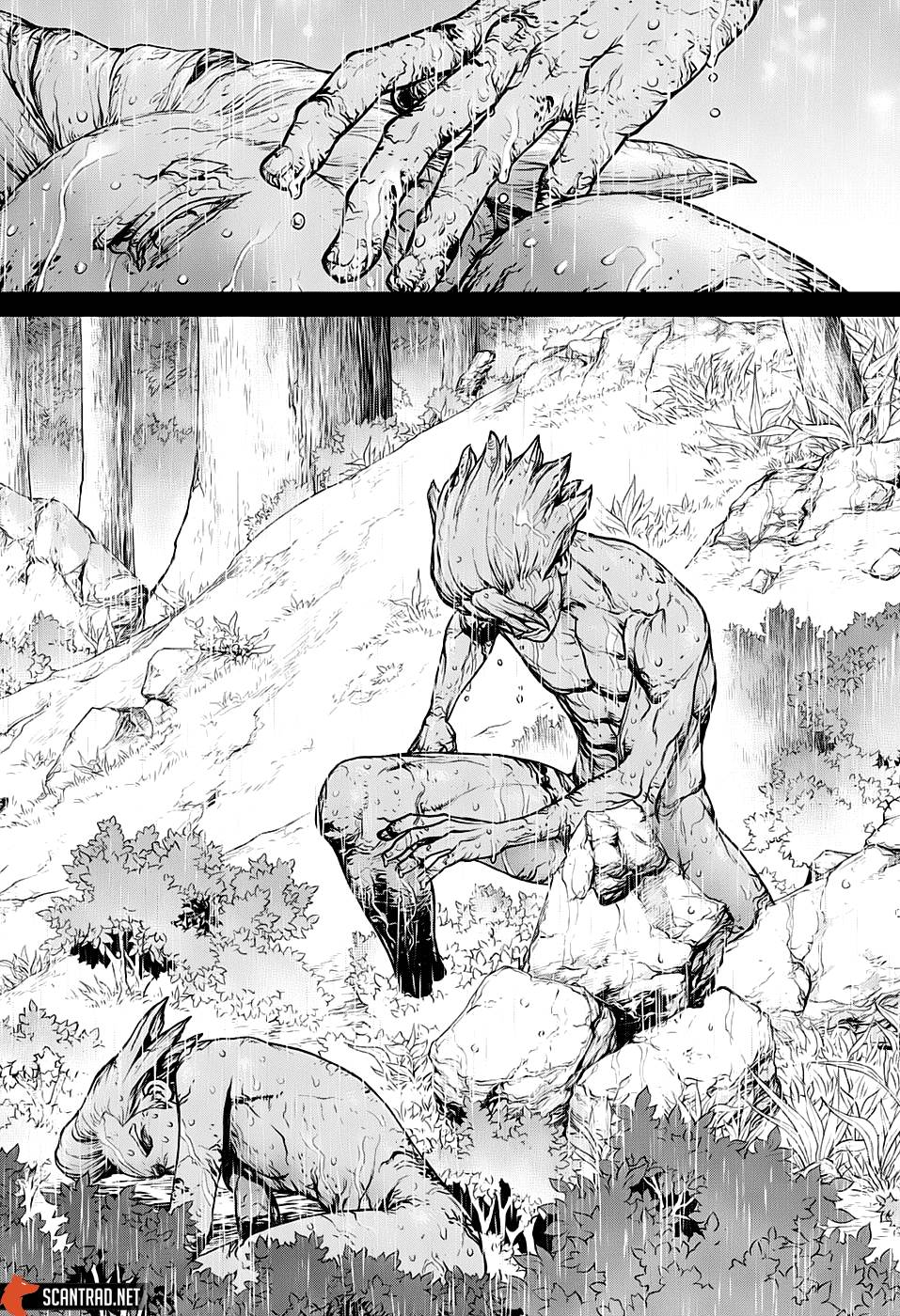 Lecture en ligne Dr Stone 157 page 14