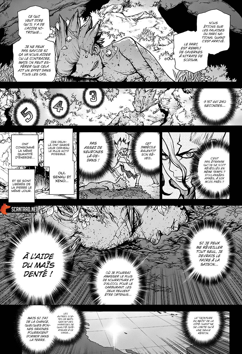 Lecture en ligne Dr Stone 157 page 15