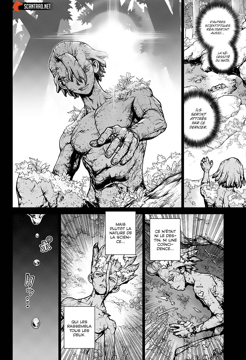 Lecture en ligne Dr Stone 157 page 16