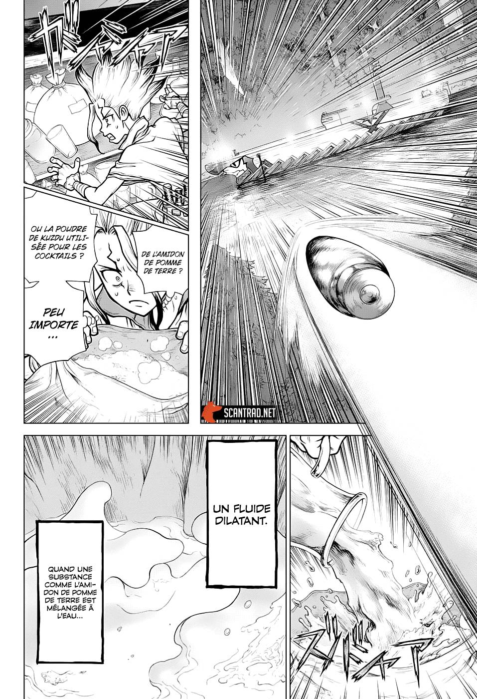 Lecture en ligne Dr Stone 159 page 15