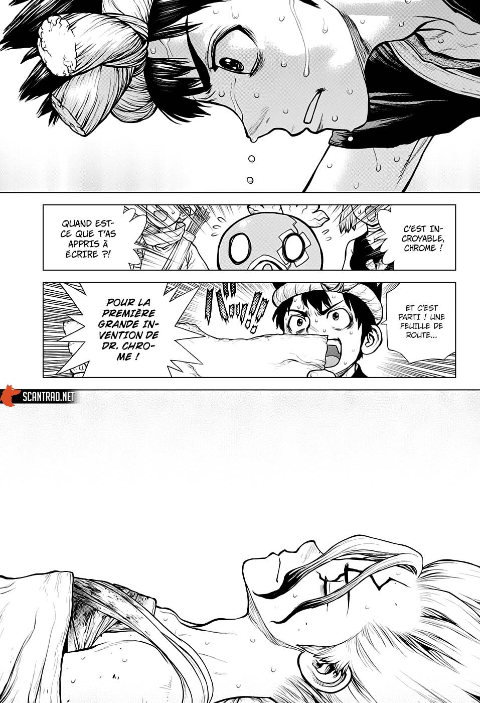 Lecture en ligne Dr Stone 161 page 17