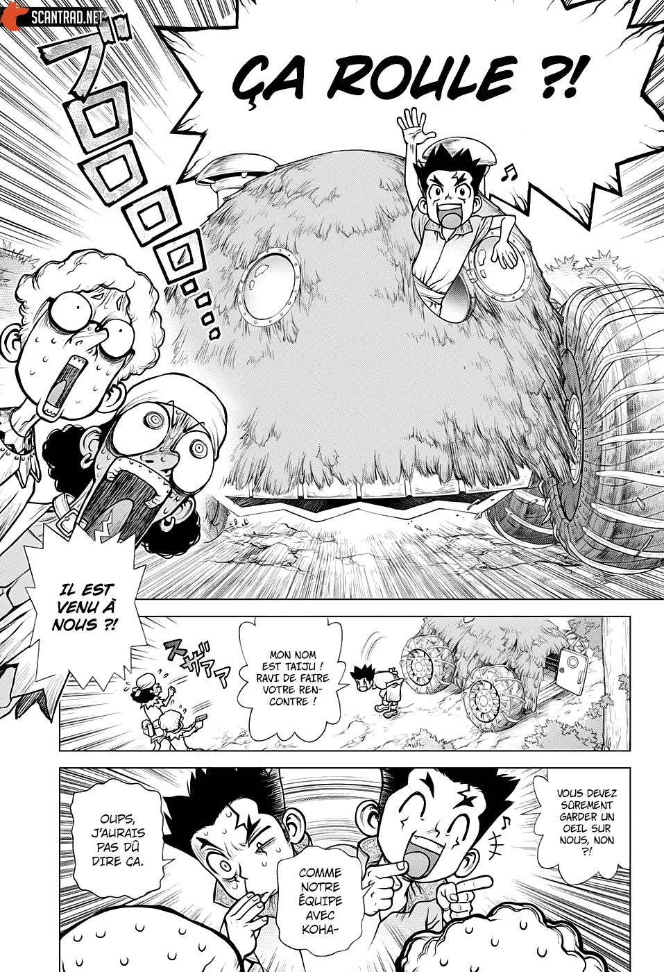 Lecture en ligne Dr Stone 162 page 10