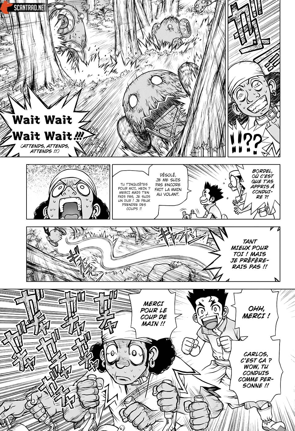 Lecture en ligne Dr Stone 162 page 14