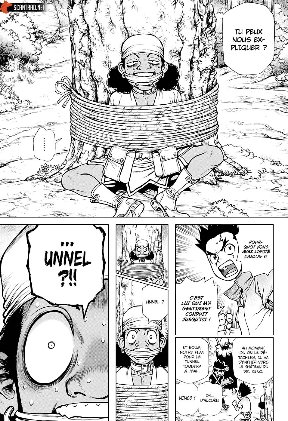Lecture en ligne Dr Stone 162 page 16