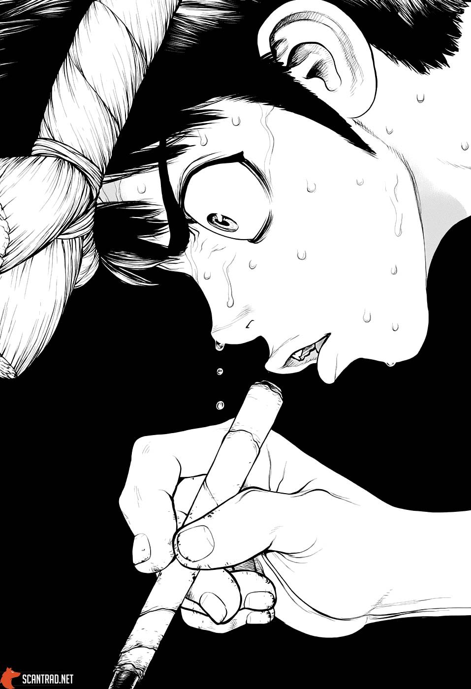 Lecture en ligne Dr Stone 162 page 19