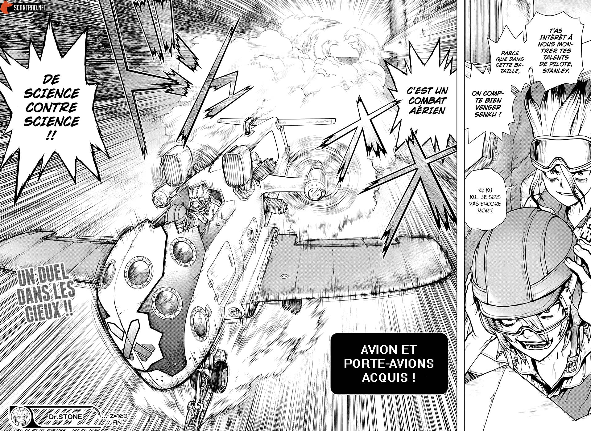 lecture en ligne Dr Stone 163 page 17