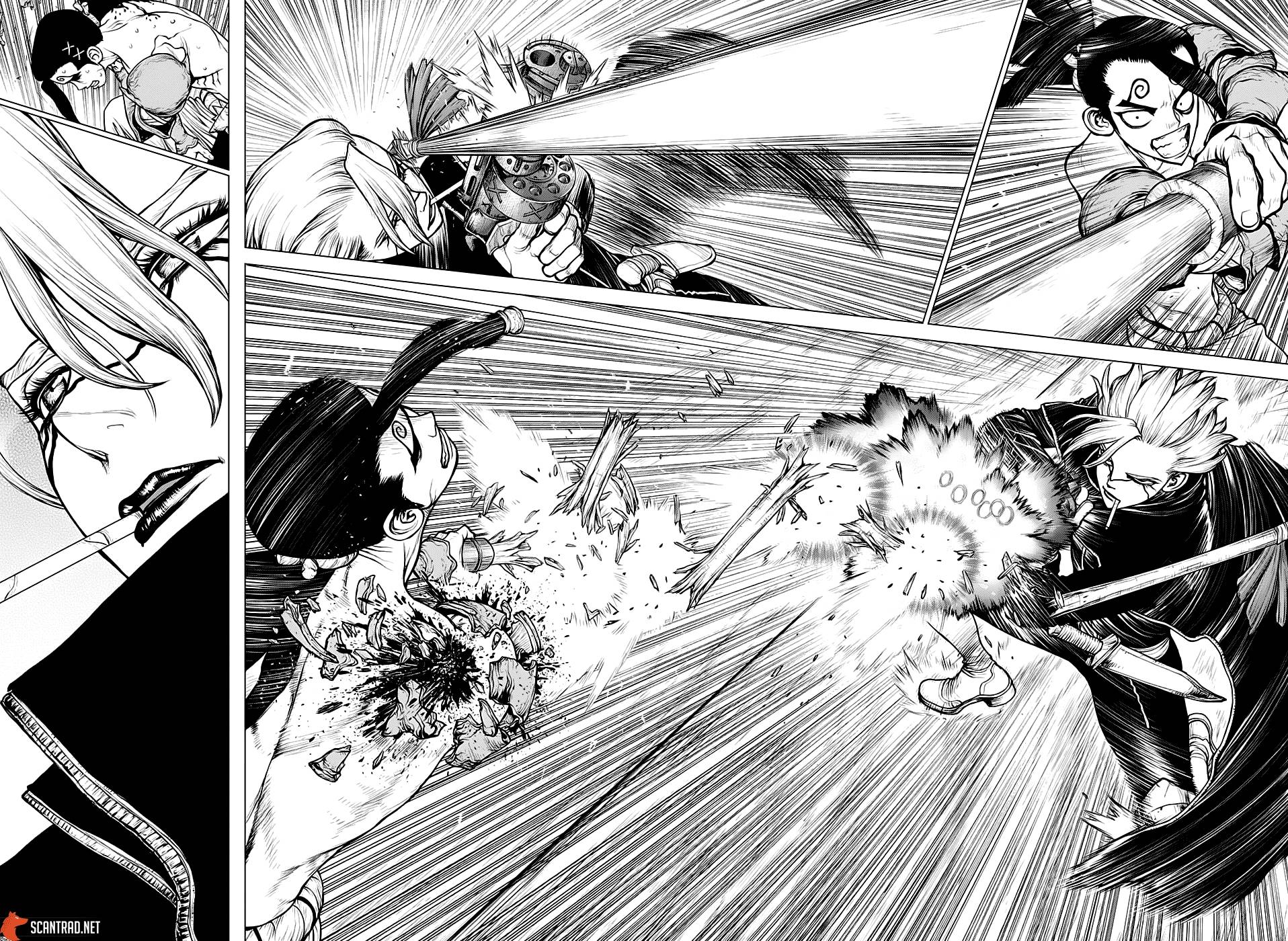 Lecture en ligne Dr Stone 166 page 14