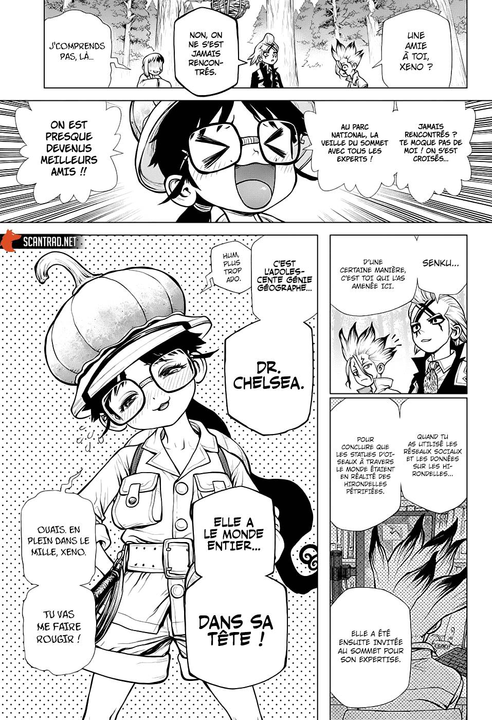 Lecture en ligne Dr Stone 172 page 17