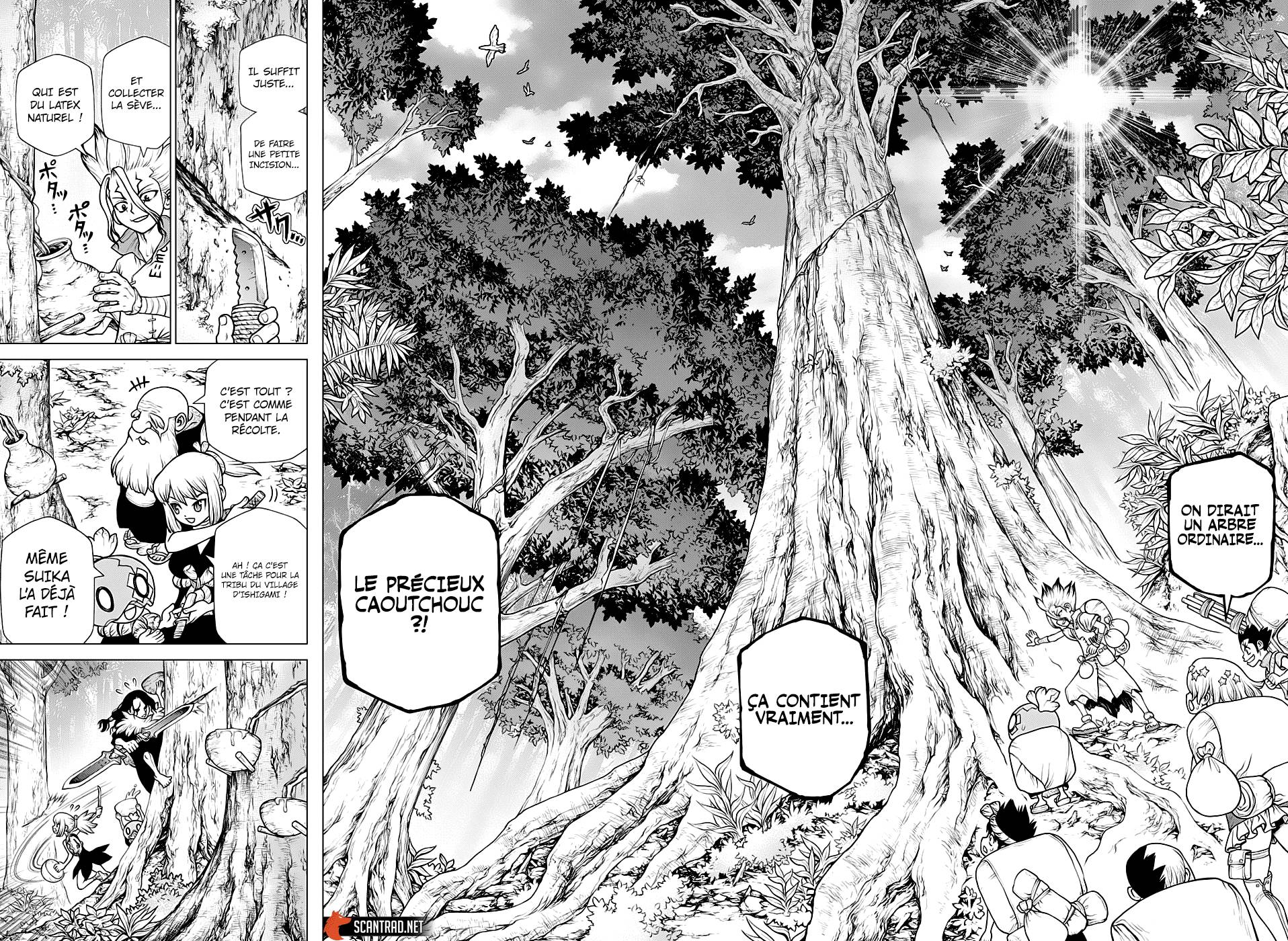 Lecture en ligne Dr Stone 174 page 11