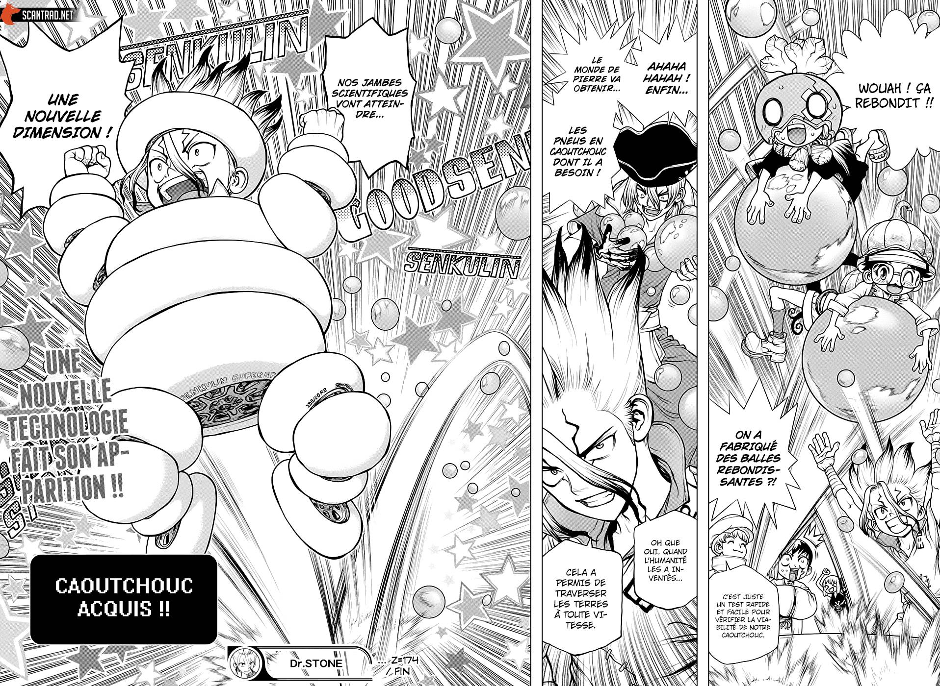 lecture en ligne Dr Stone 174 page 15