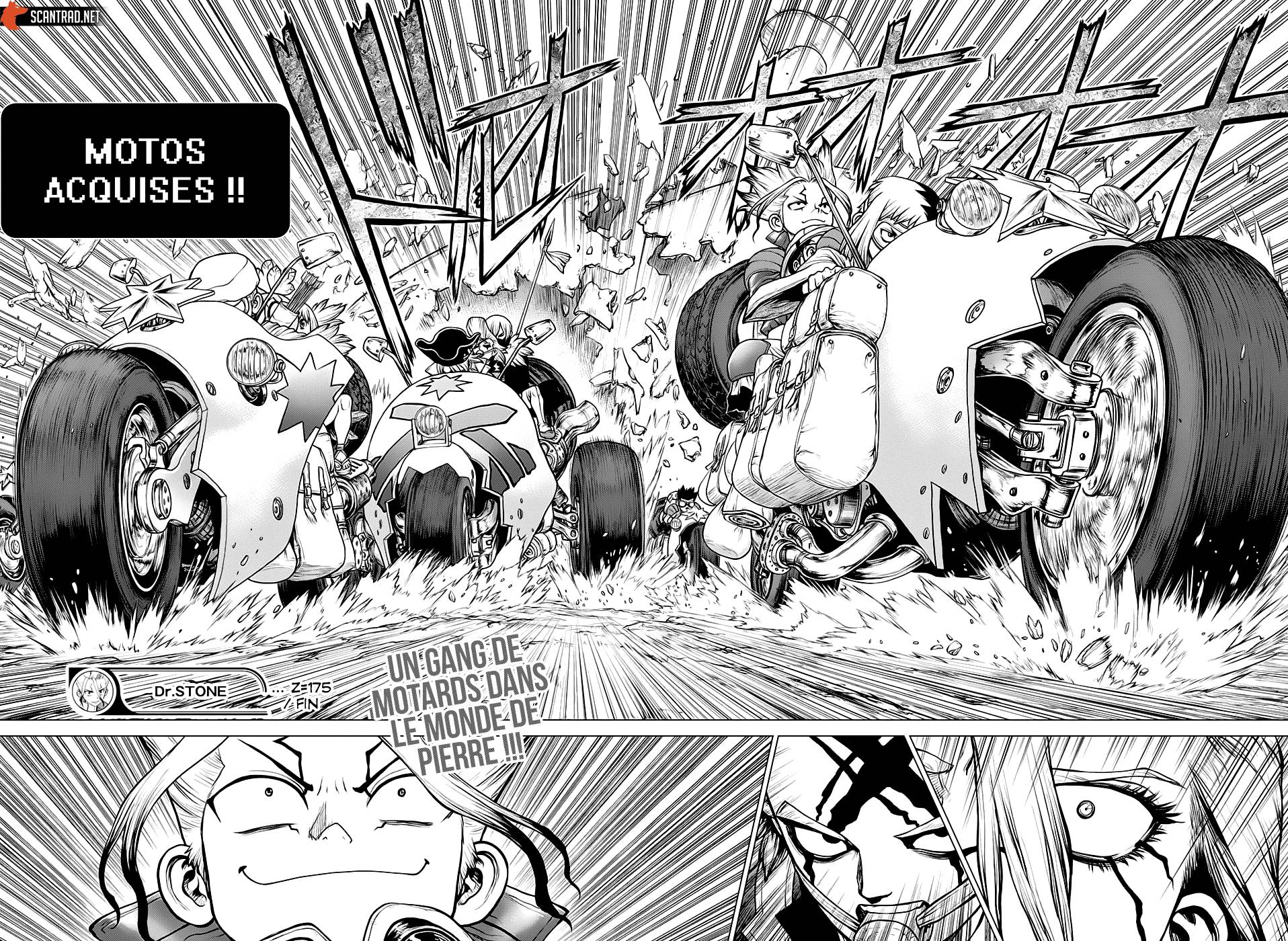 lecture en ligne Dr Stone 175 page 17