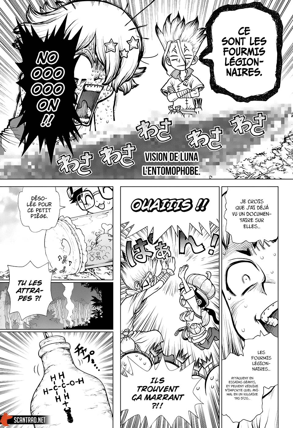 Lecture en ligne Dr Stone 180 page 8
