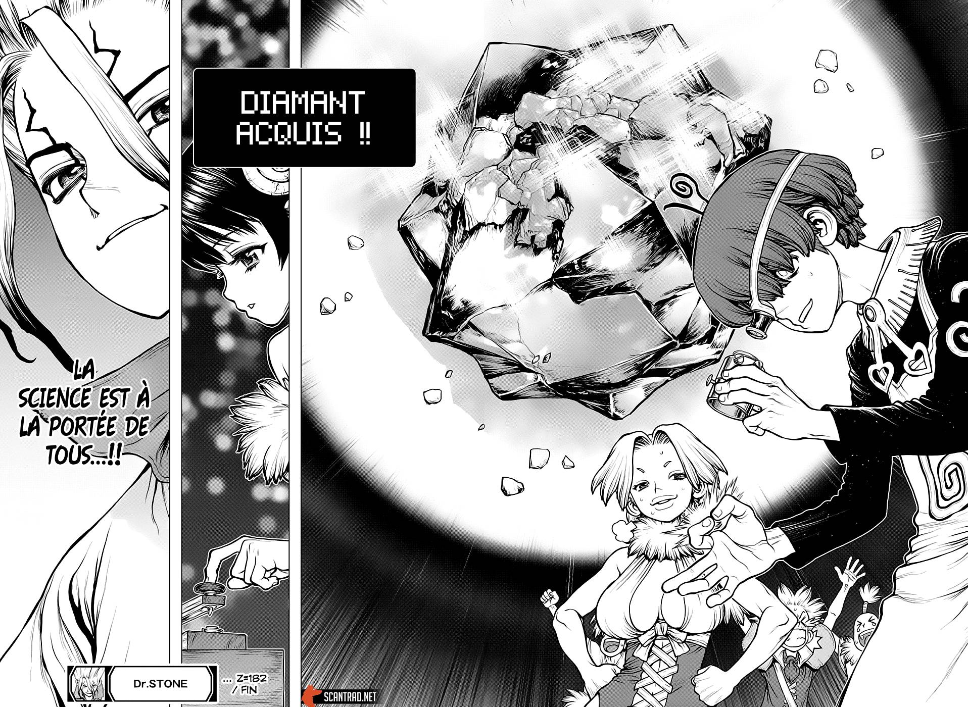 lecture en ligne Dr Stone 182 page 17