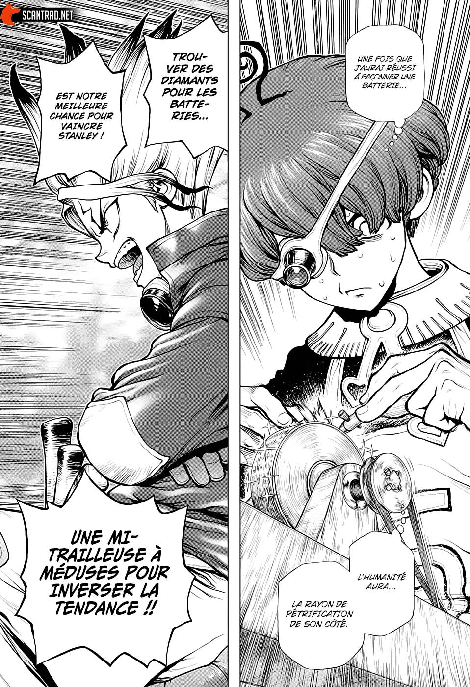 Lecture en ligne Dr Stone 183 page 17