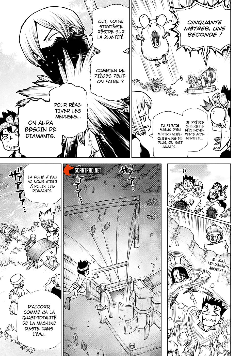 Scan Dr Stone 184 Page 12