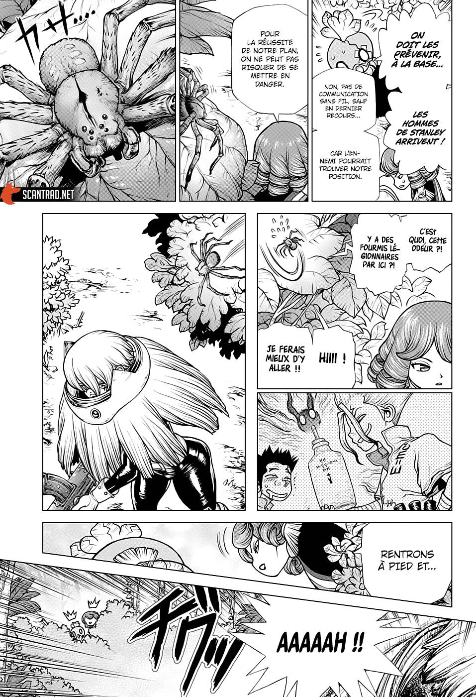 Lecture en ligne Dr Stone 185 page 13