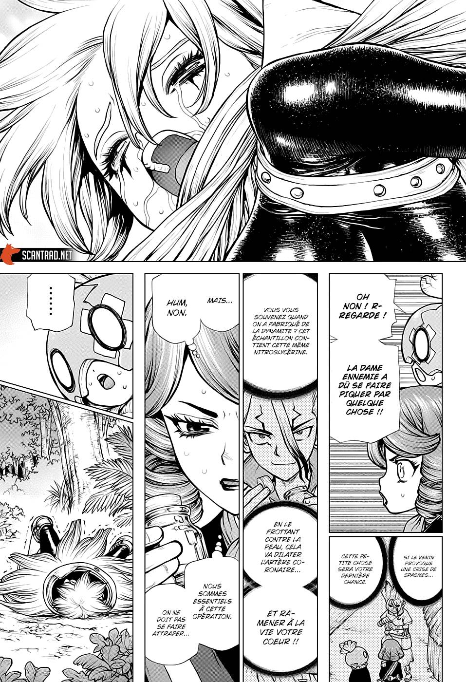Lecture en ligne Dr Stone 185 page 15