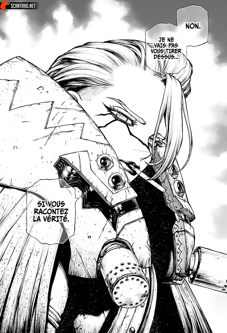 Lecture en ligne Dr Stone 186 page 14
