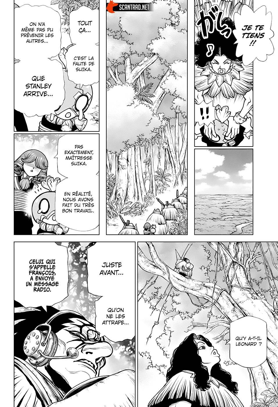 Lecture en ligne Dr Stone 186 page 15