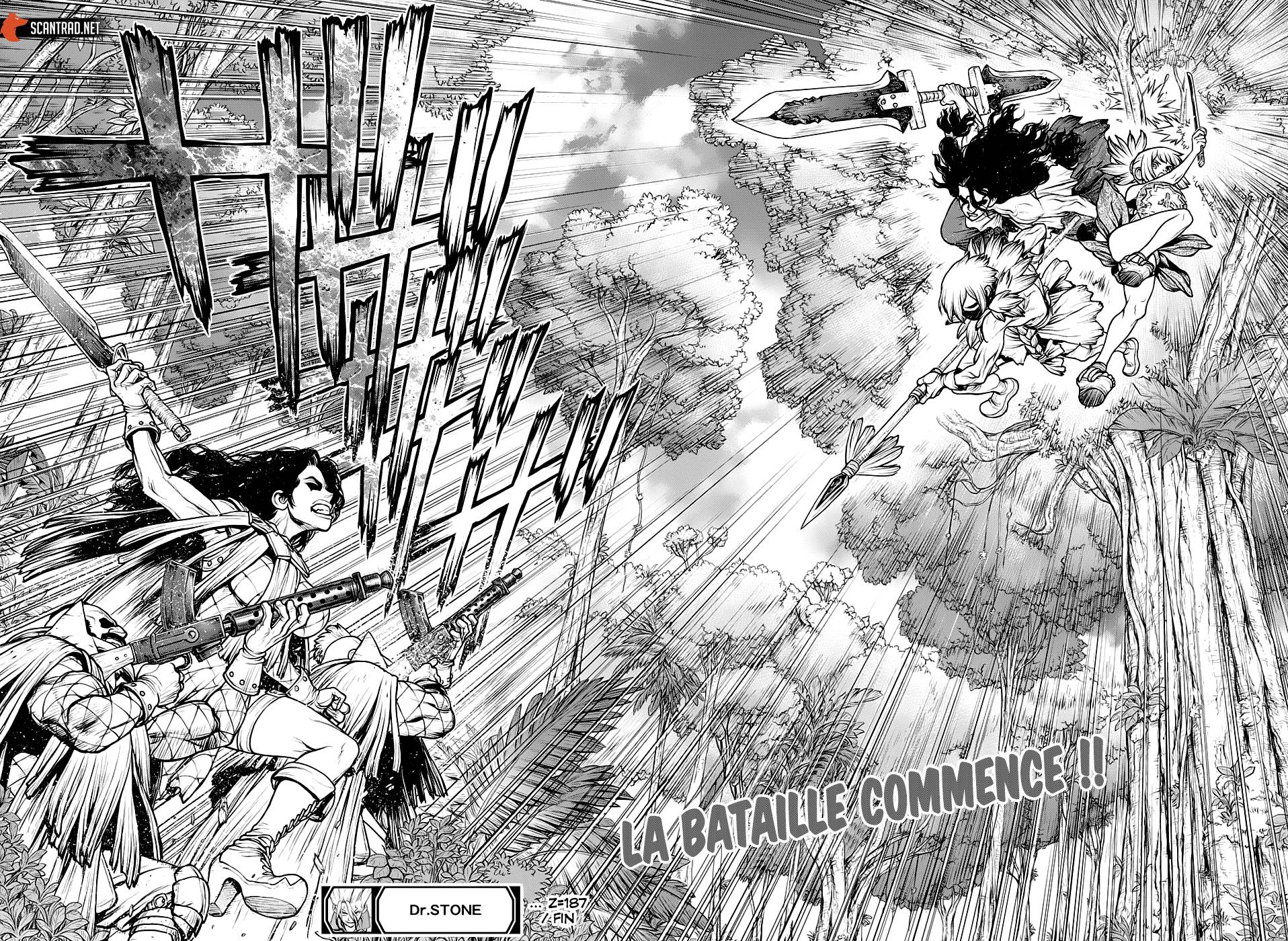 lecture en ligne Dr Stone 187 page 17