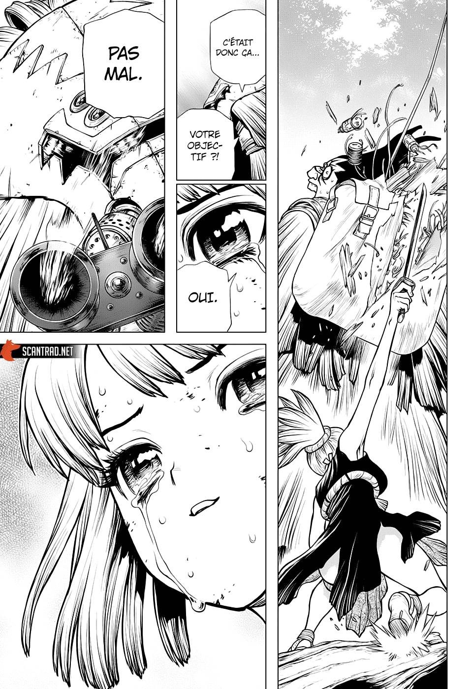 Lecture en ligne Dr Stone 188 page 13