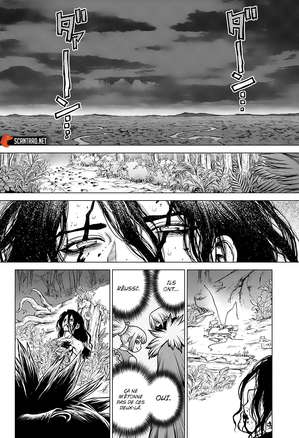 Lecture en ligne Dr Stone 188 page 14