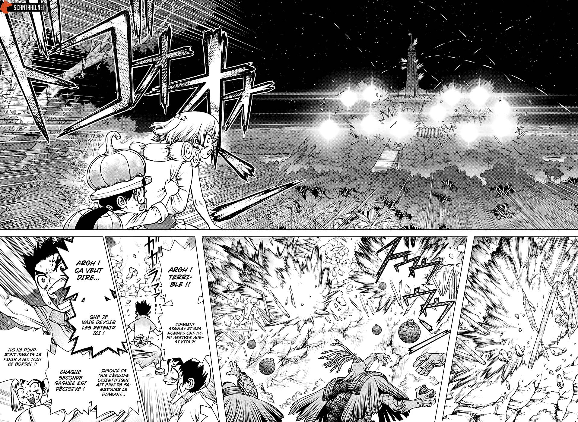 Lecture en ligne Dr Stone 189 page 13