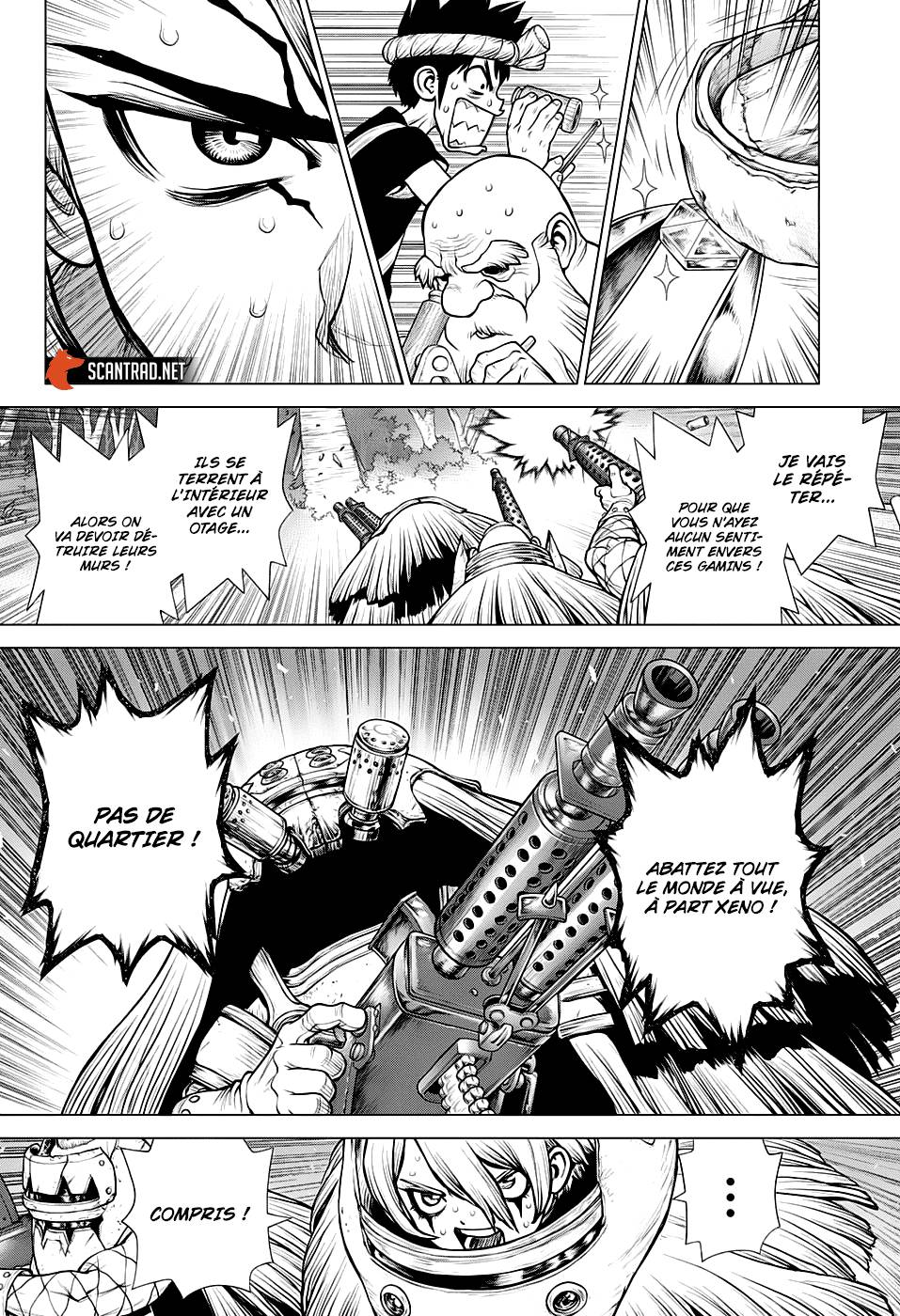 Lecture en ligne Dr Stone 189 page 14