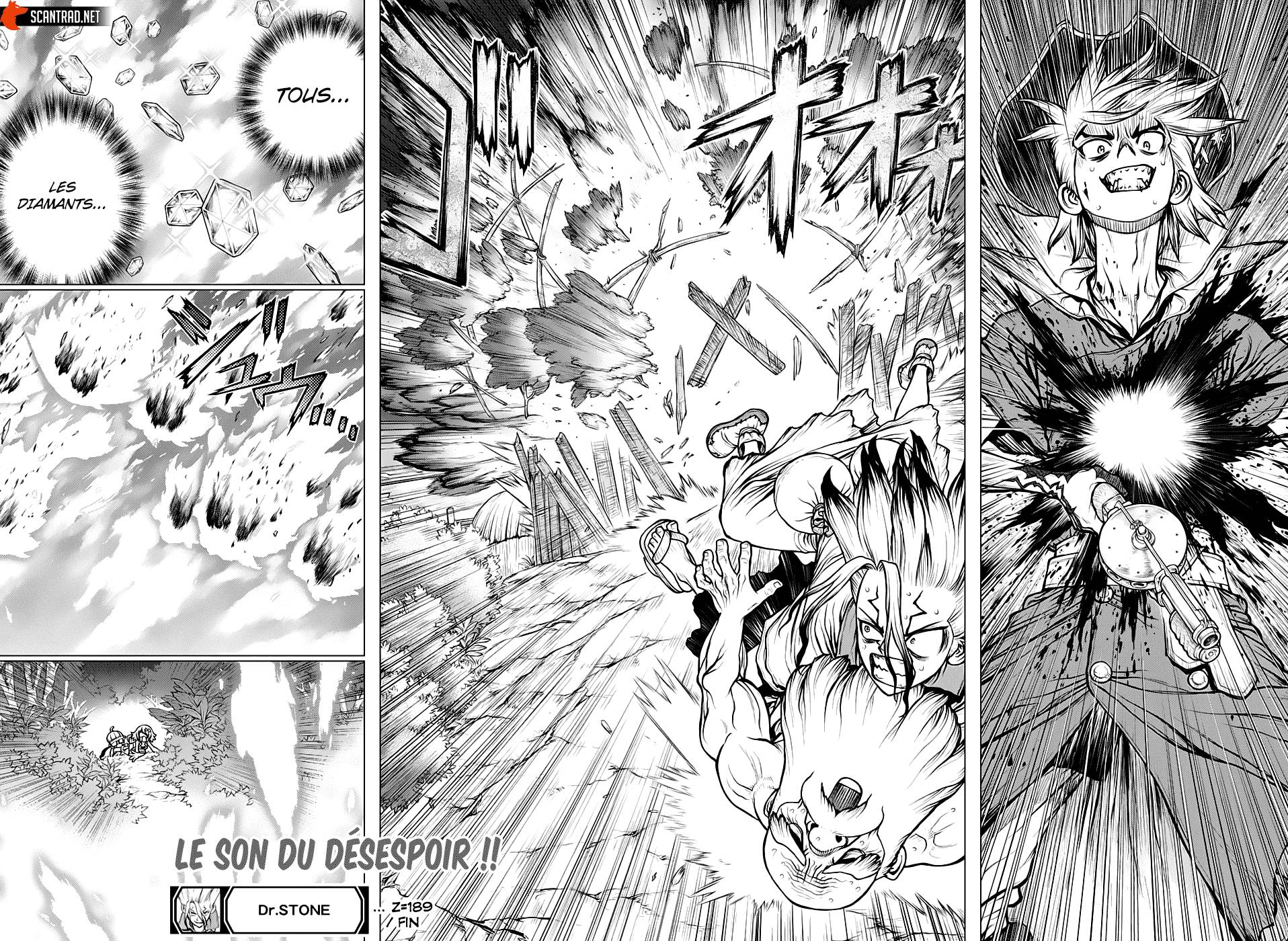 lecture en ligne Dr Stone 189 page 20