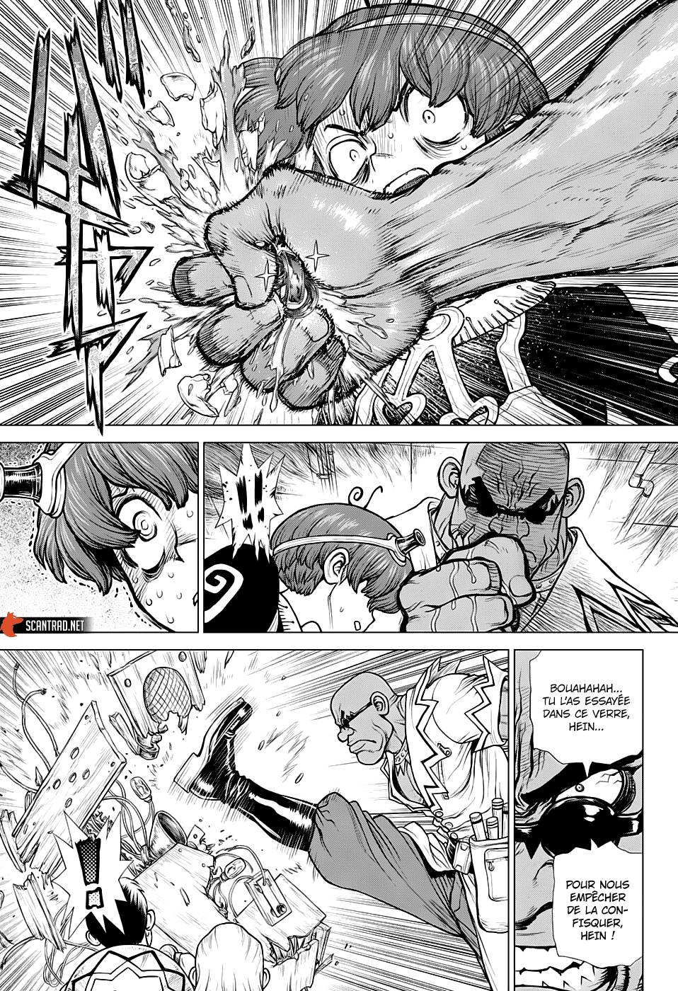 Lecture en ligne Dr Stone 190 page 12