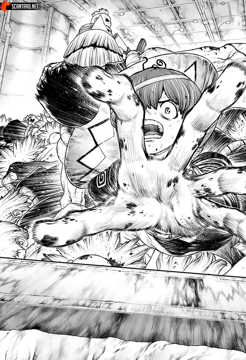 Lecture en ligne Dr Stone 191 page 12