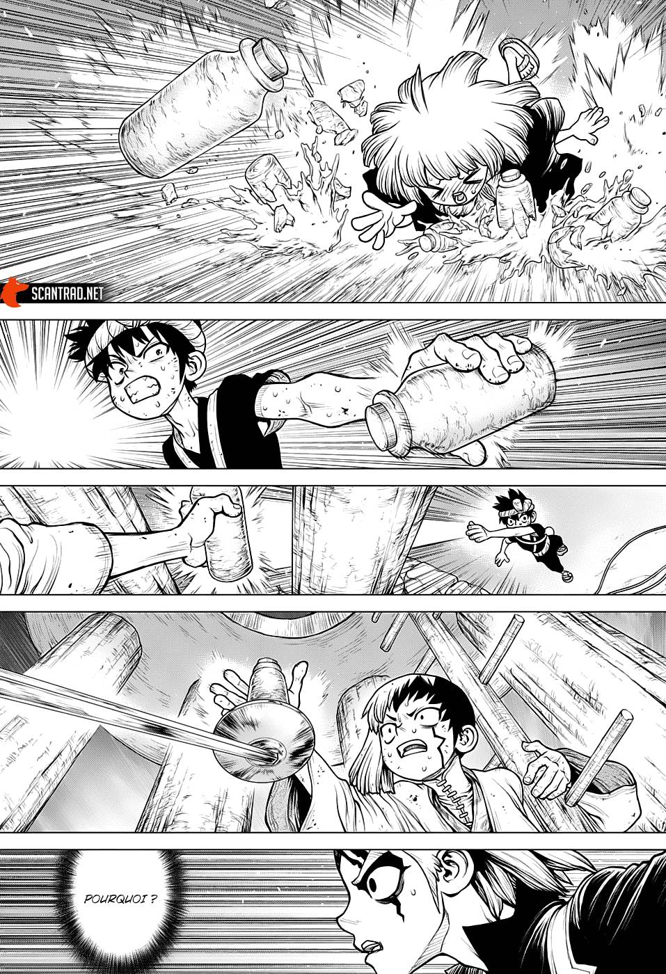 Lecture en ligne Dr Stone 192 page 13