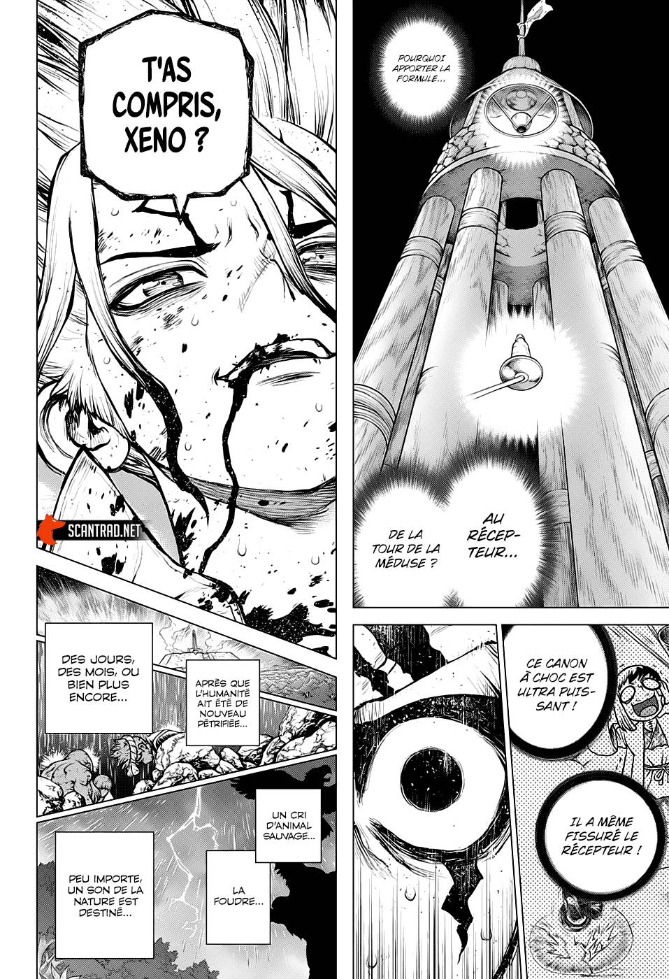 Lecture en ligne Dr Stone 192 page 14