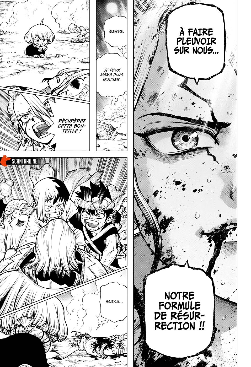 Lecture en ligne Dr Stone 192 page 15