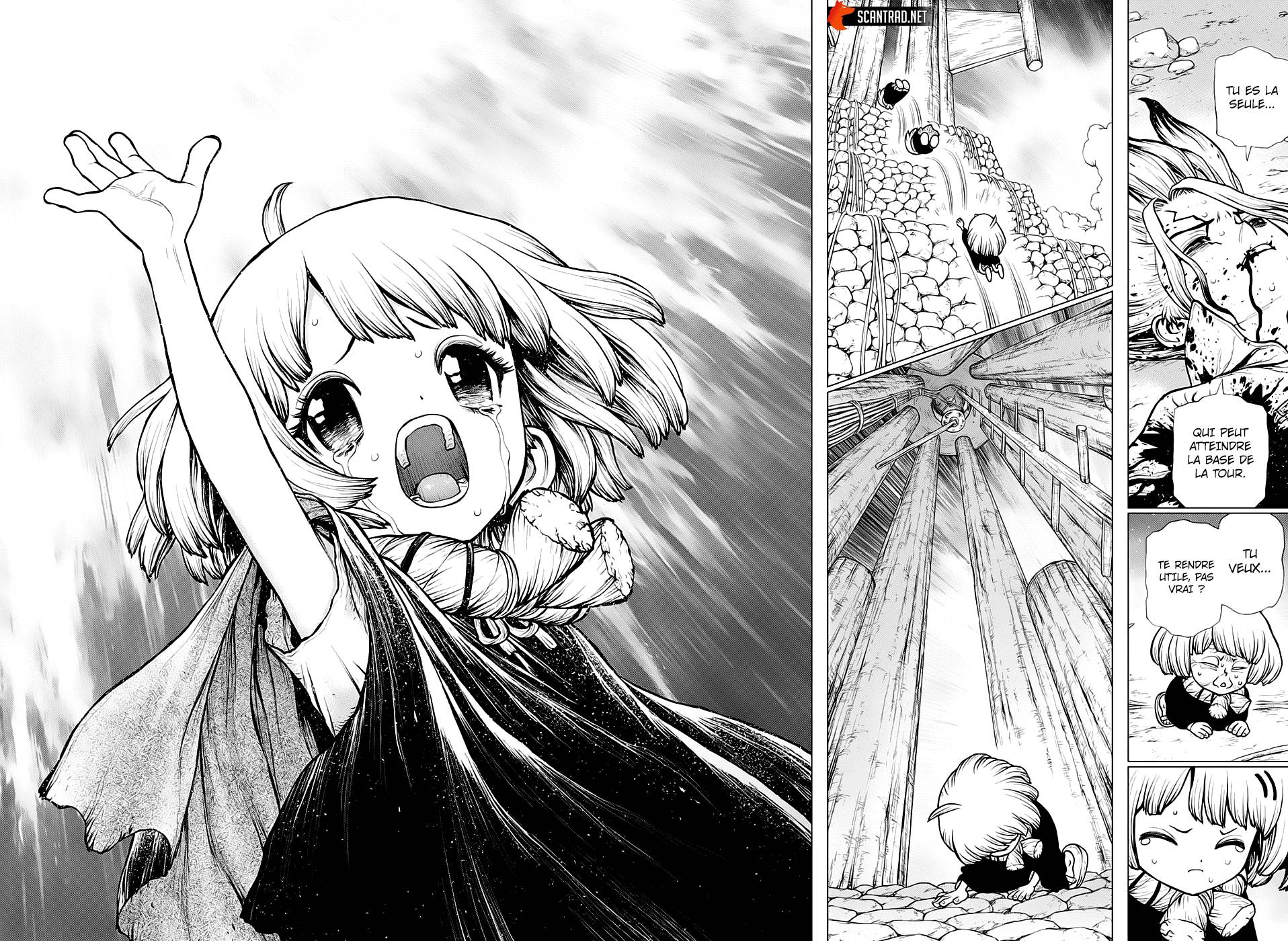 Lecture en ligne Dr Stone 192 page 16