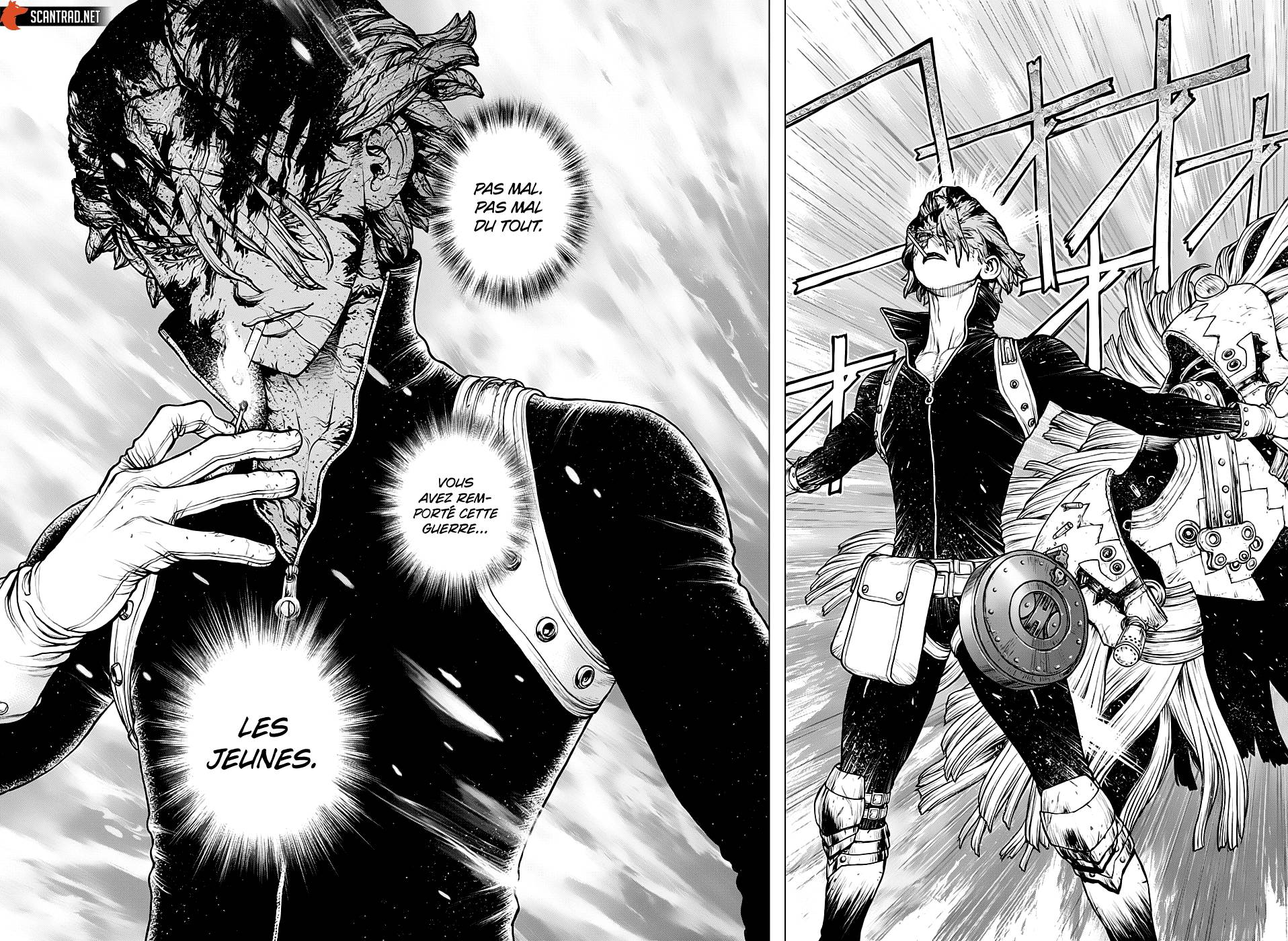 Lecture en ligne Dr Stone 193 page 11