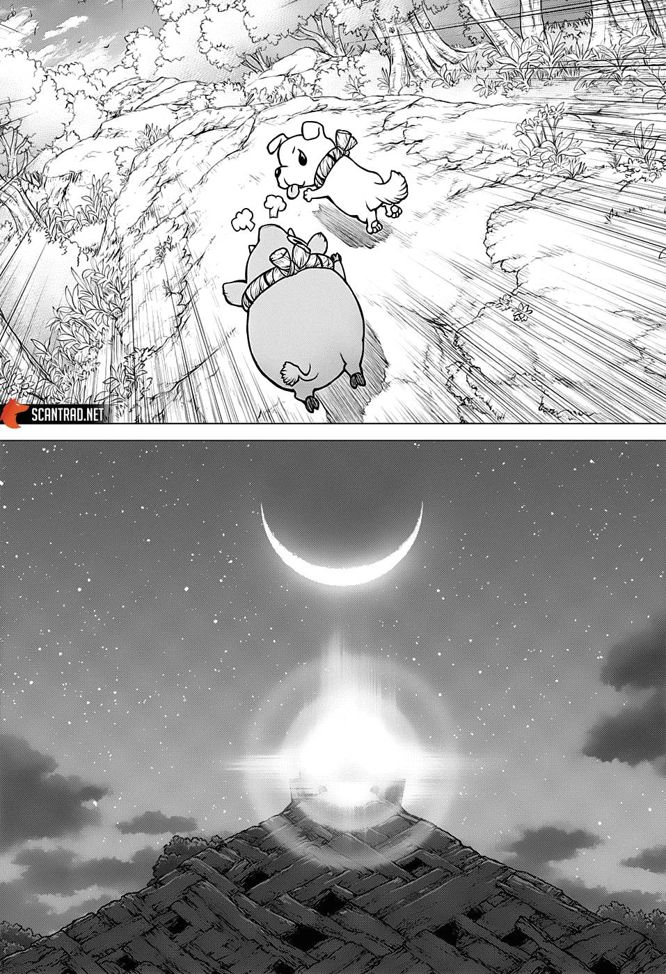 Lecture en ligne Dr Stone 193 page 15