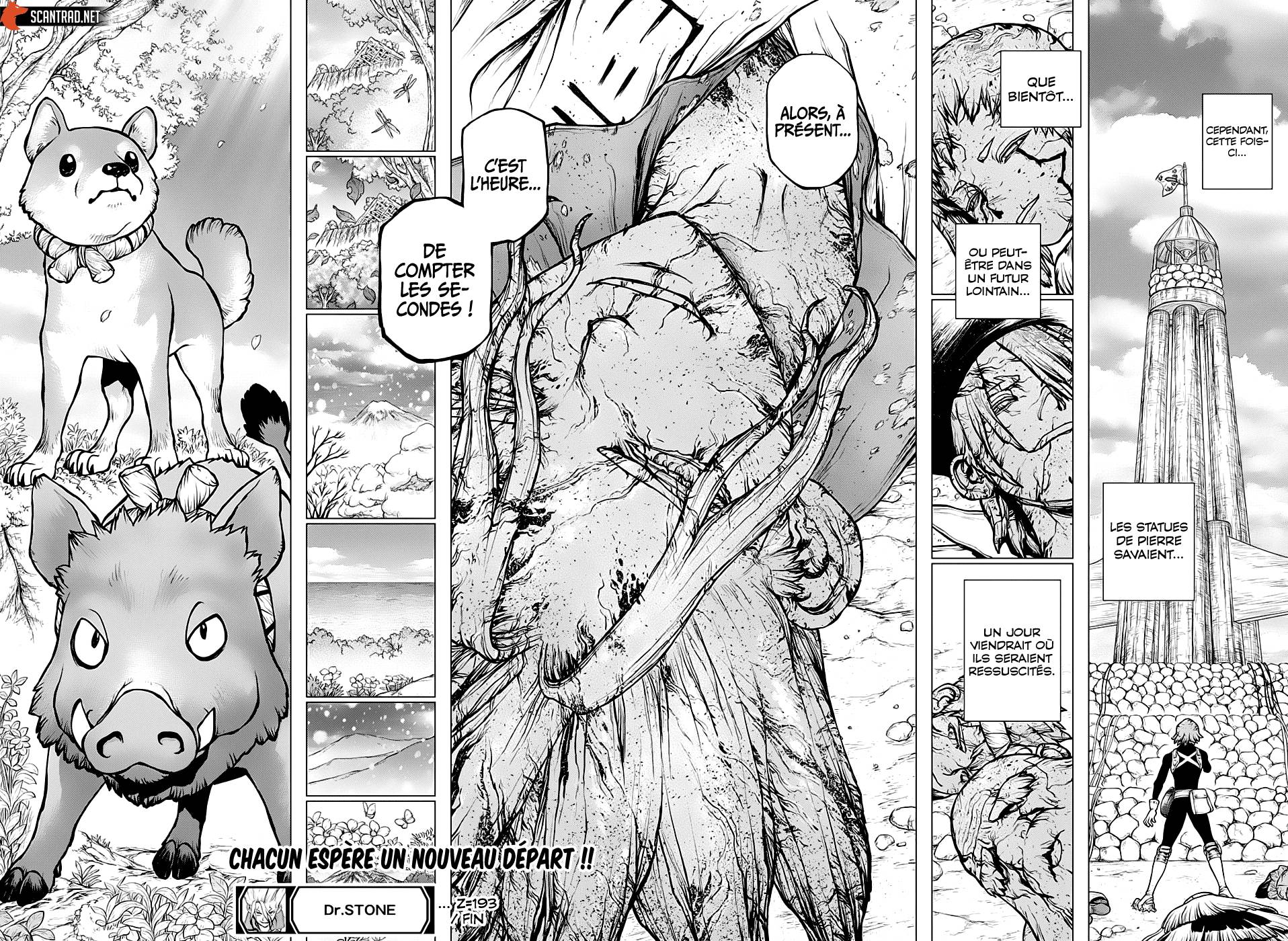 lecture en ligne Dr Stone 193 page 17