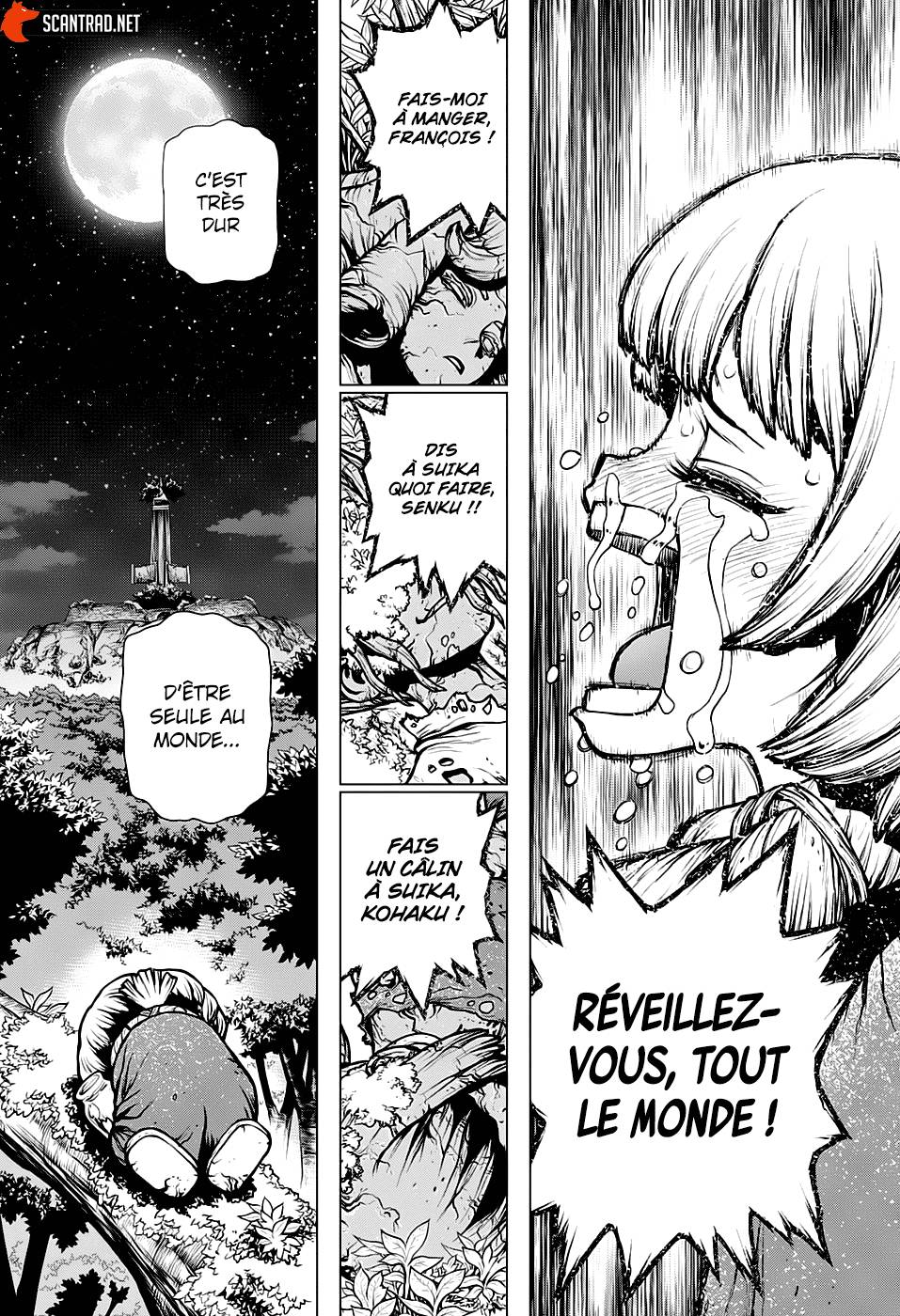 Lecture en ligne Dr Stone 194 page 14