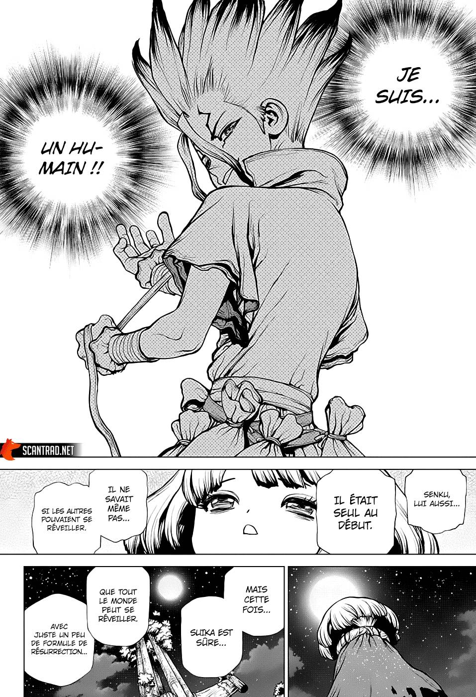 Lecture en ligne Dr Stone 194 page 16