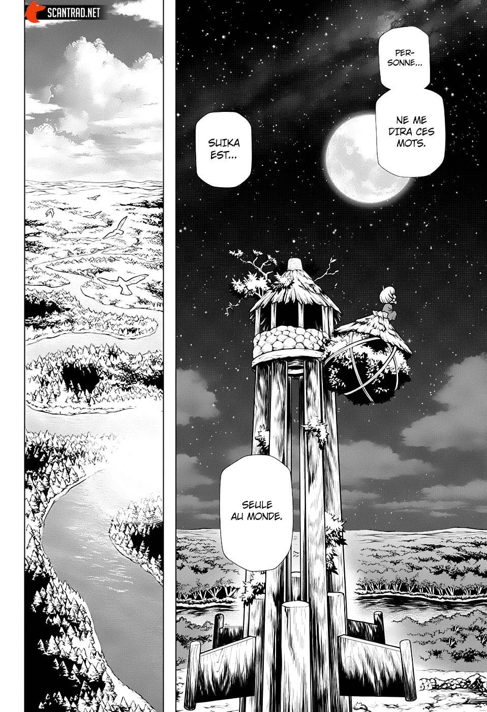 Lecture en ligne Dr Stone 195 page 8